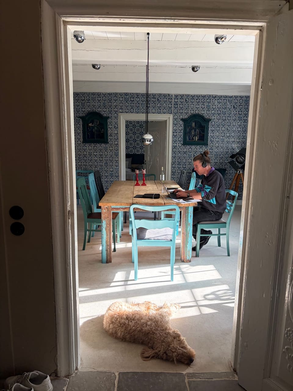 Arbeiten am Esstisch, der Hund schläft in der Sonne